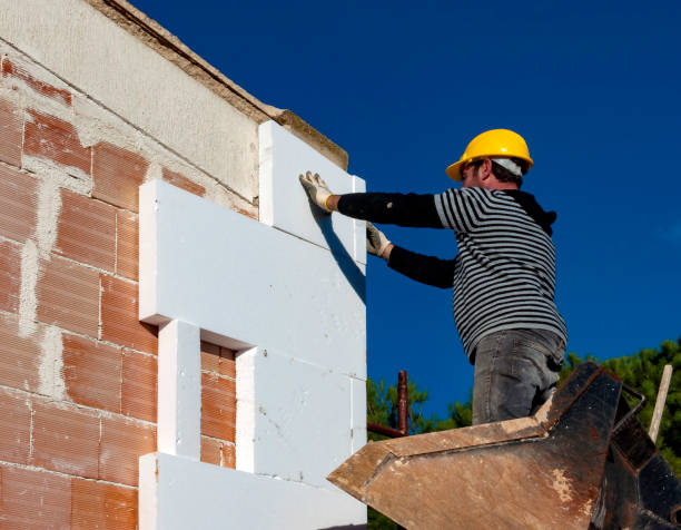 Best Geographic-Specific Insulation Services in Mccordsville, IN