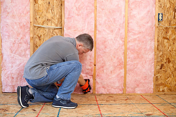 Best Energy Efficiency Insulation in Mccordsville, IN