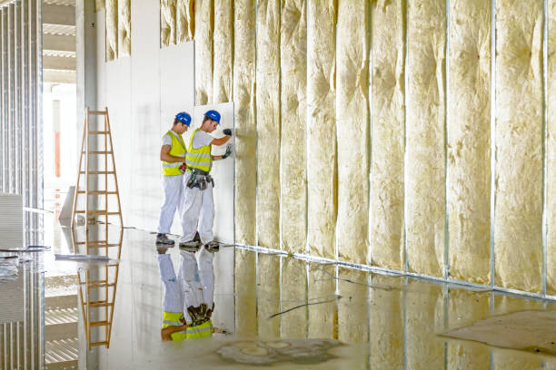 Best Cellulose Insulation in Mccordsville, IN